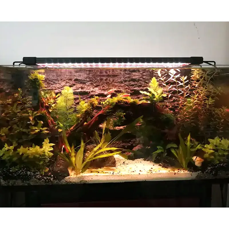 wrgb salt water lamp aquarium fish tank light