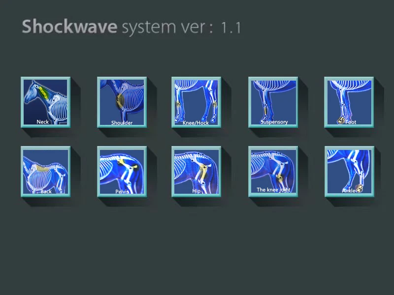 Professional Horses Shock Wave Device Ed Eswt Cellulite Reduction Focused Shockwave Therapy Machine Erectile Dysfunction