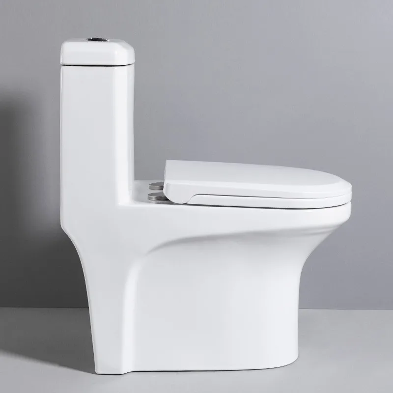 LANDOO Inodoros Ceramic Siphonic Sanitary Ware One Piece Toilet Bidet Strong Flow Toilet Bowl