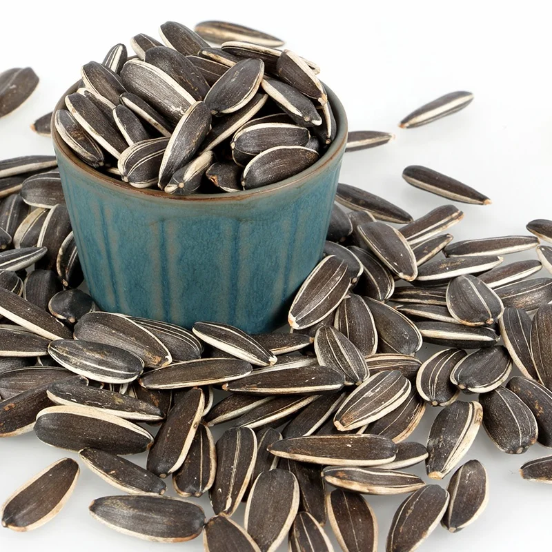 Amazing Sale on Dried Machine Cleaned 99% Purity Sunflower Seeds 5009 at Reasonable Price