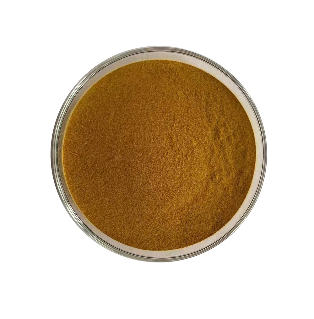 Forskolin Extract  Forskohlii Root Extract Powder