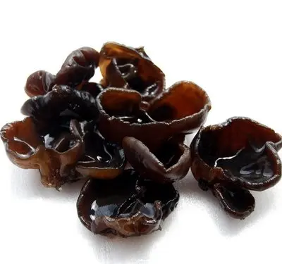 Most popular black fungus specialty bulk dry bulk dry bulk dry fungus