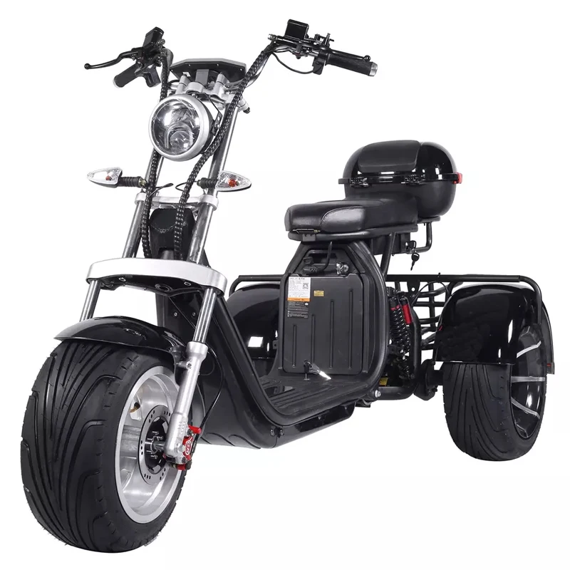 OT2808 1000w 2000w 60v12ah /20ah two removable battery citycoco fat tire 3 wheel double seat mobility electric scooter