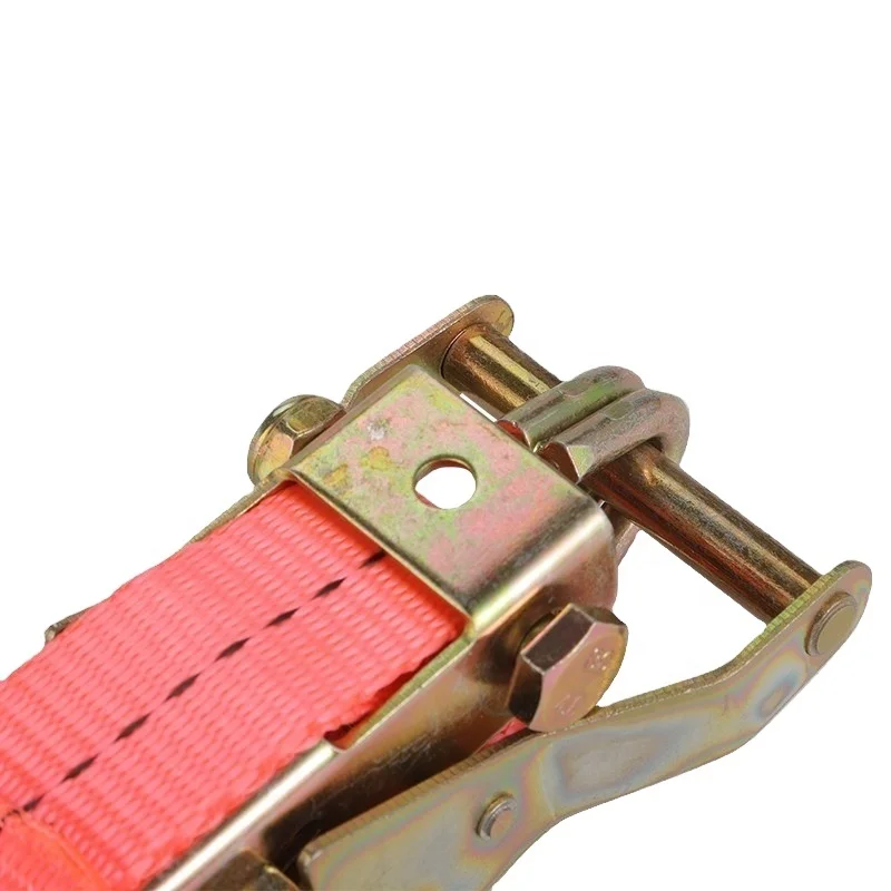 The factory produces customizable polyester lashing eslingas camion