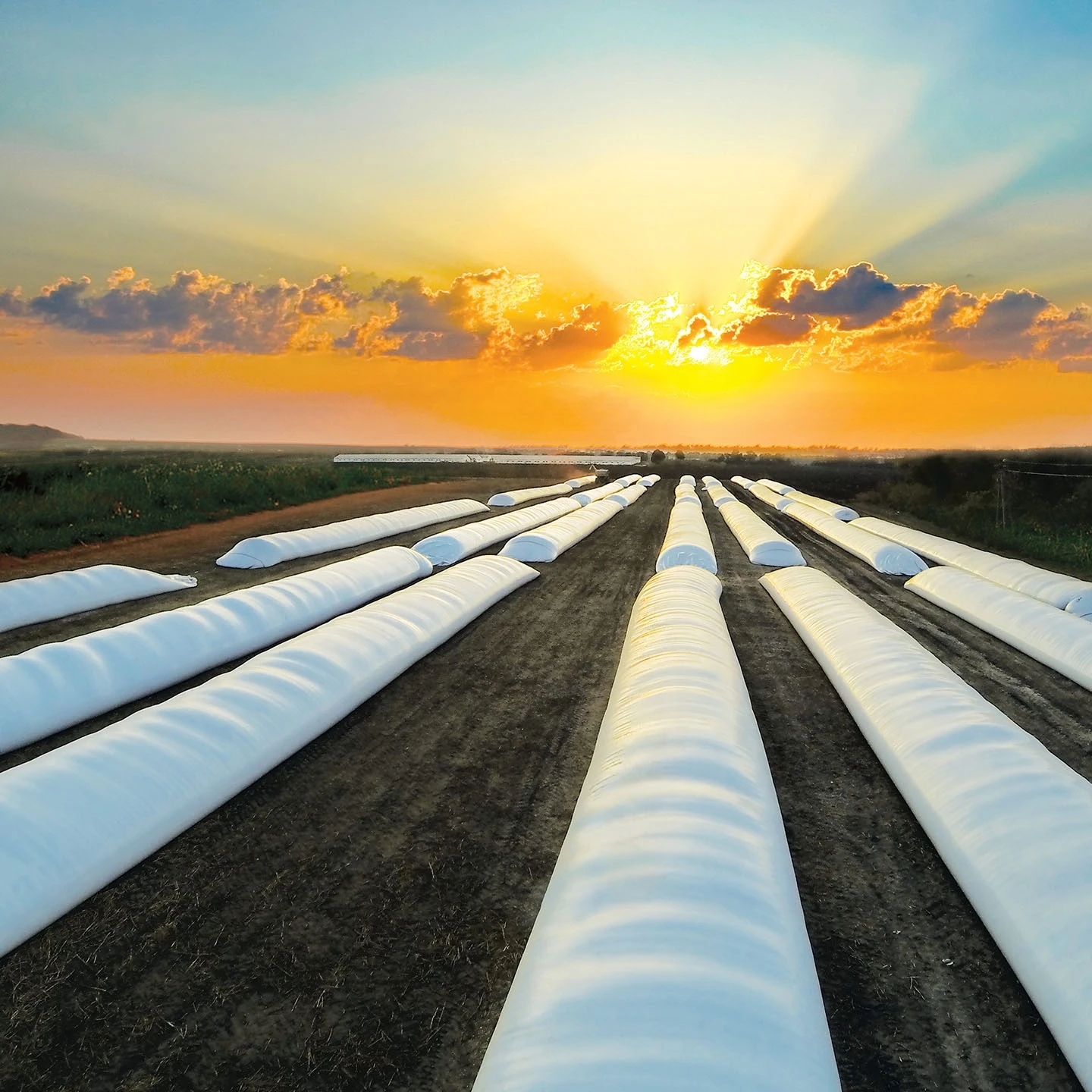 grainsilo Silage grain storage silo bag Forage Storage polymer sleeve silage silo tube bag silage bag