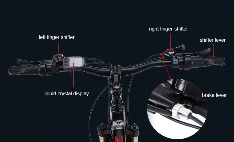 hot sale 4.0 fat tire large wheel 29 inch 48v 1000w beach electric e bike