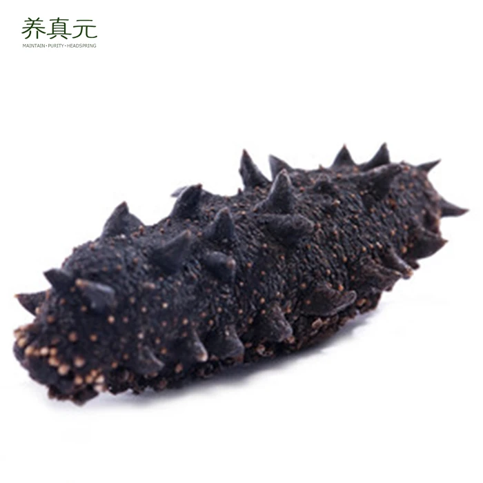Wholesale Seafood Supplier Dry Sea Cucumber For Sale In Cheap Price