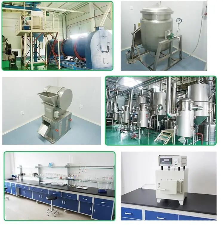 
High Quality Chinese Herbal Medicine Extract Alkanet Extract Shikonin 30% 