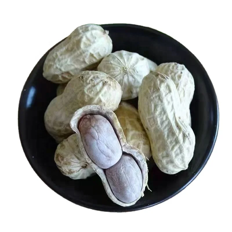 Wholesale High Grade Roasted Groundnut Raw Peanuts