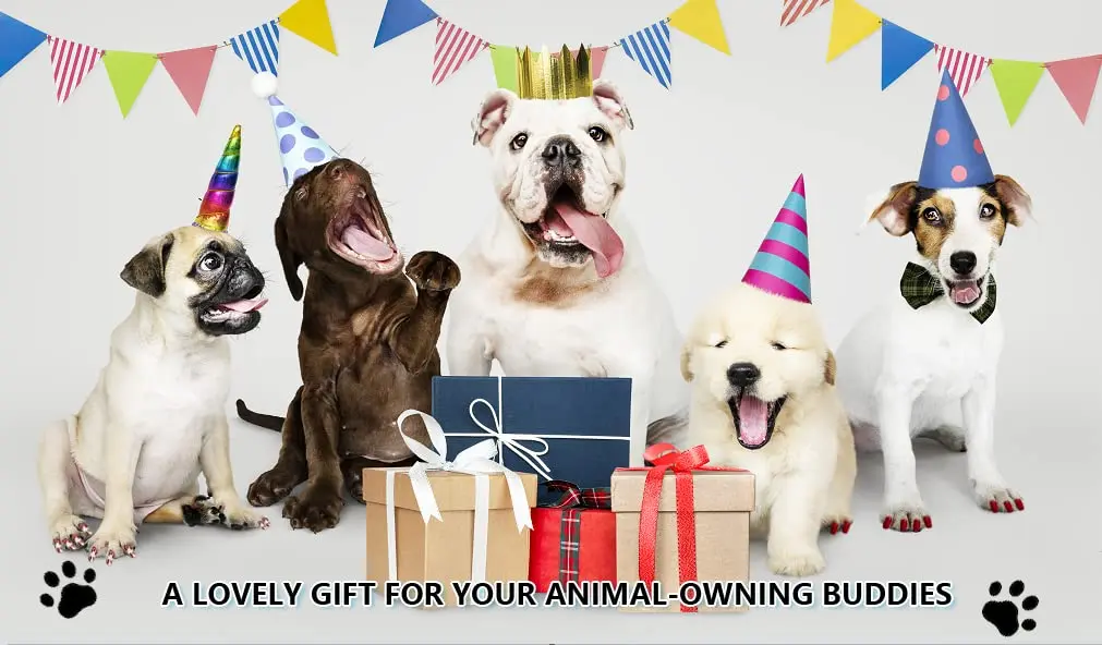 6 Colors Safe Dog Nail Polish Pen Set,Ideal Gifts for Small or Big Girl Dog Accessories, Pet Costume