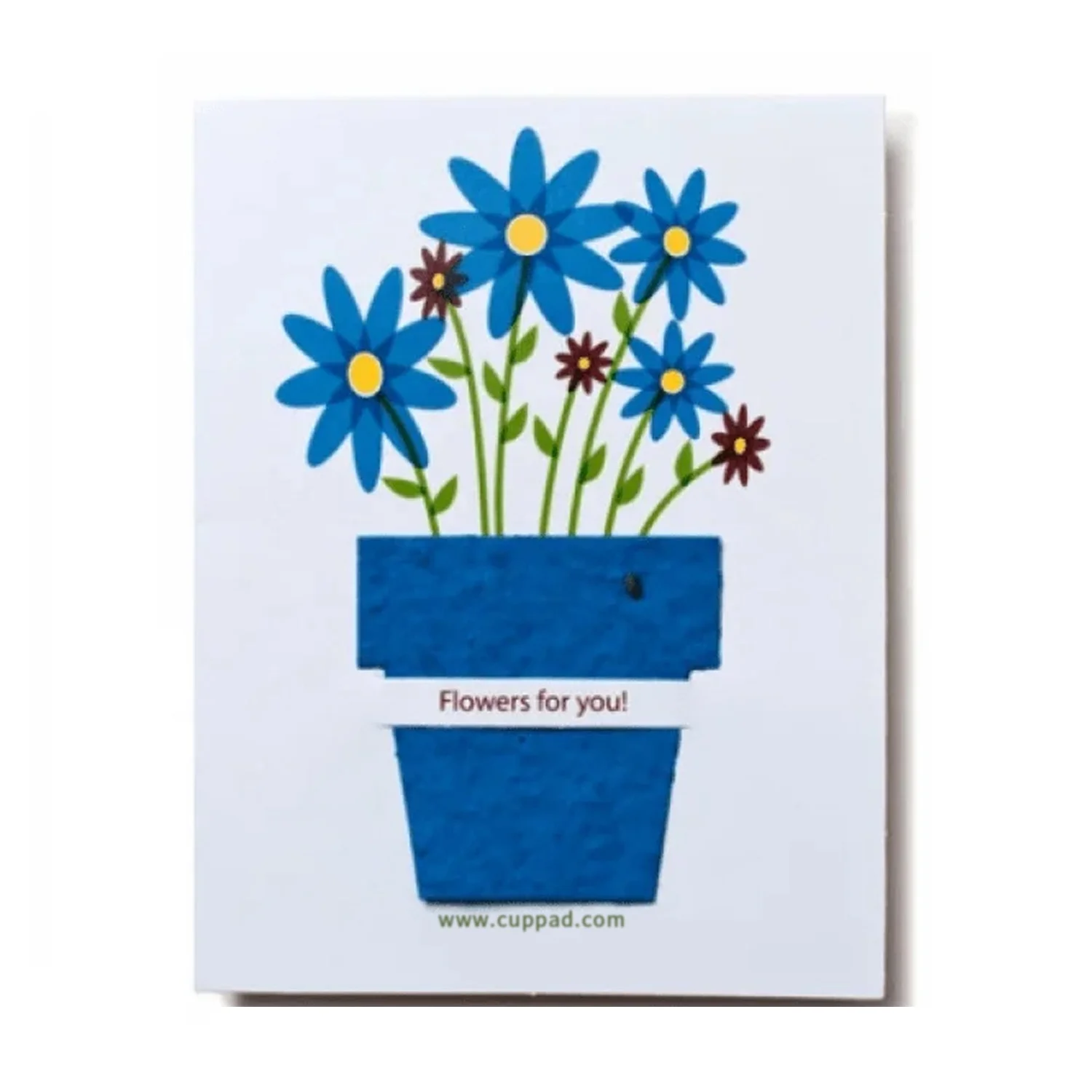 Wholesale Mini Plant Seed Paper Card For Plants  Can Custom Logo