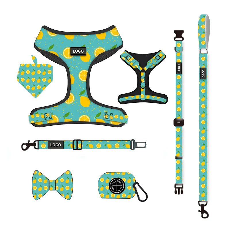 Sublimation blank personalized pet dog collar and leash harness set custom logo summer dog harness designs