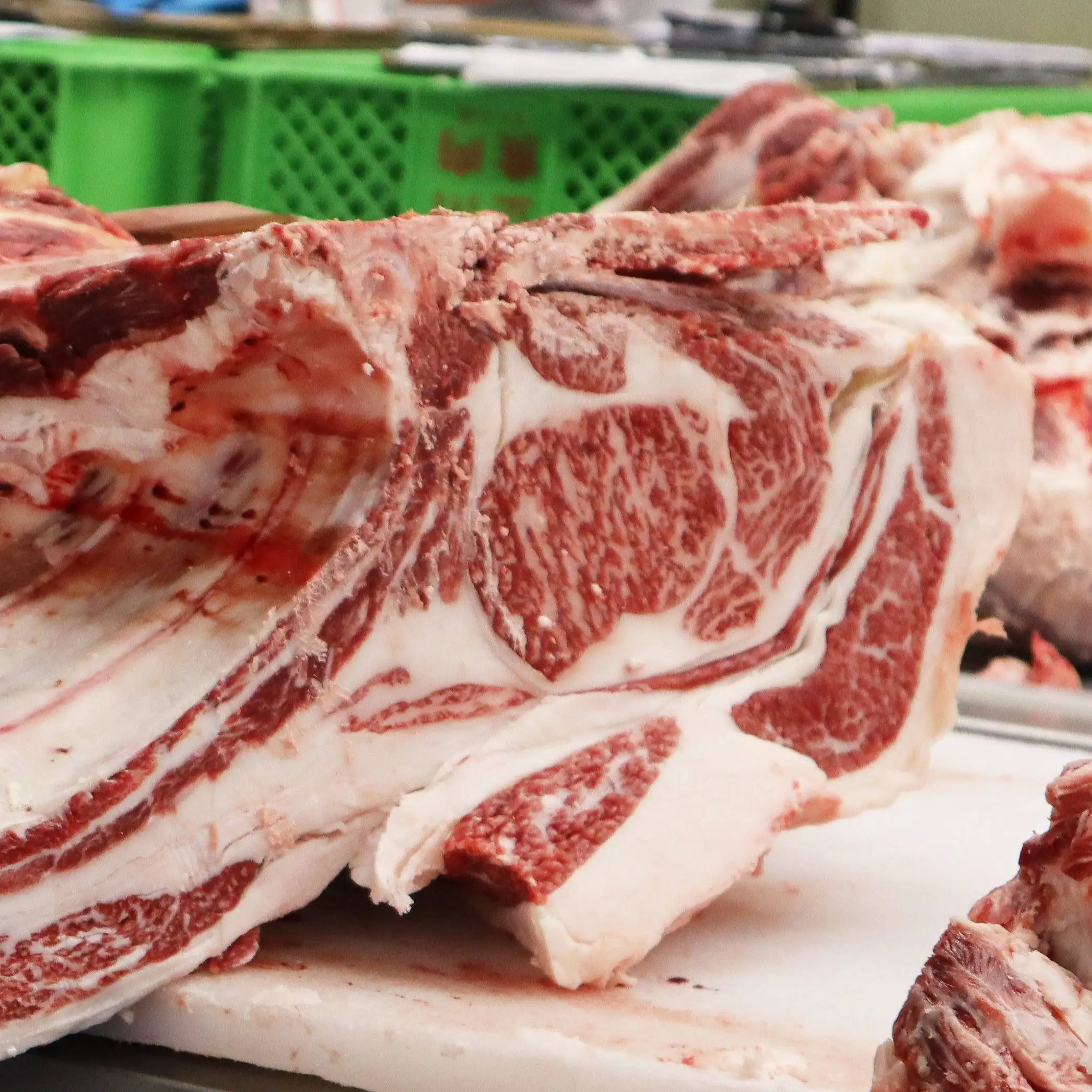 Japanese wagyu frozen beef forequarter exporter red meat for sale