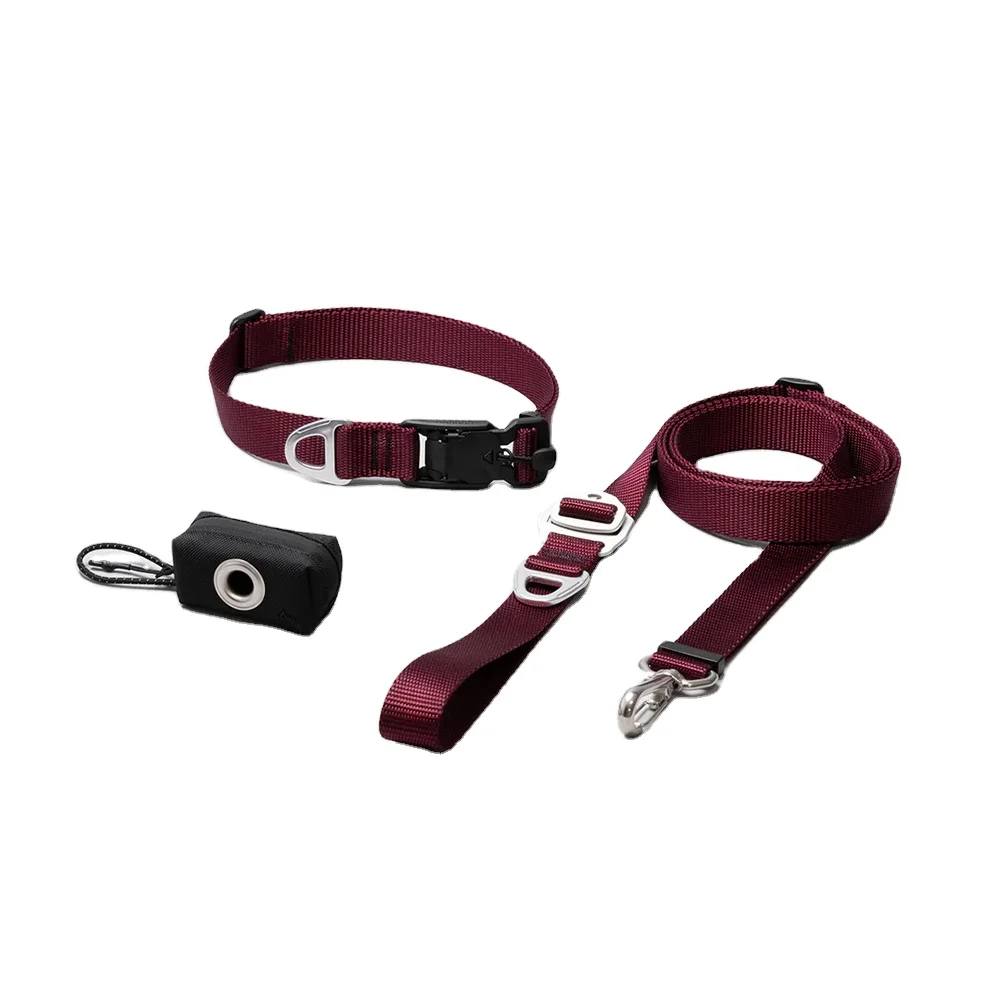 Изготовленный на заказ Мягкий Нейлоновый дизайнерский воротник и поводок набор роскошных крепких поводков для домашних животных с индивидуальным принтом логотип собак