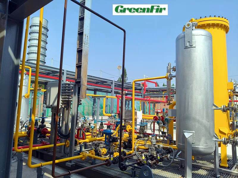 Long Time Working Cryogenic LNG Liquefaction Plant Skid LNG Plant for sale