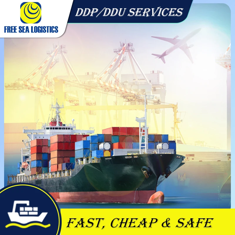 Competitive international logistics company from China to Dubai/Saudi Arabia/Oman lcl ddp sea freight