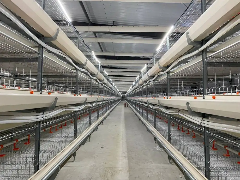 Poultry Farming Automatic Breeding Rearing Battery Chicken Cage for Broiler