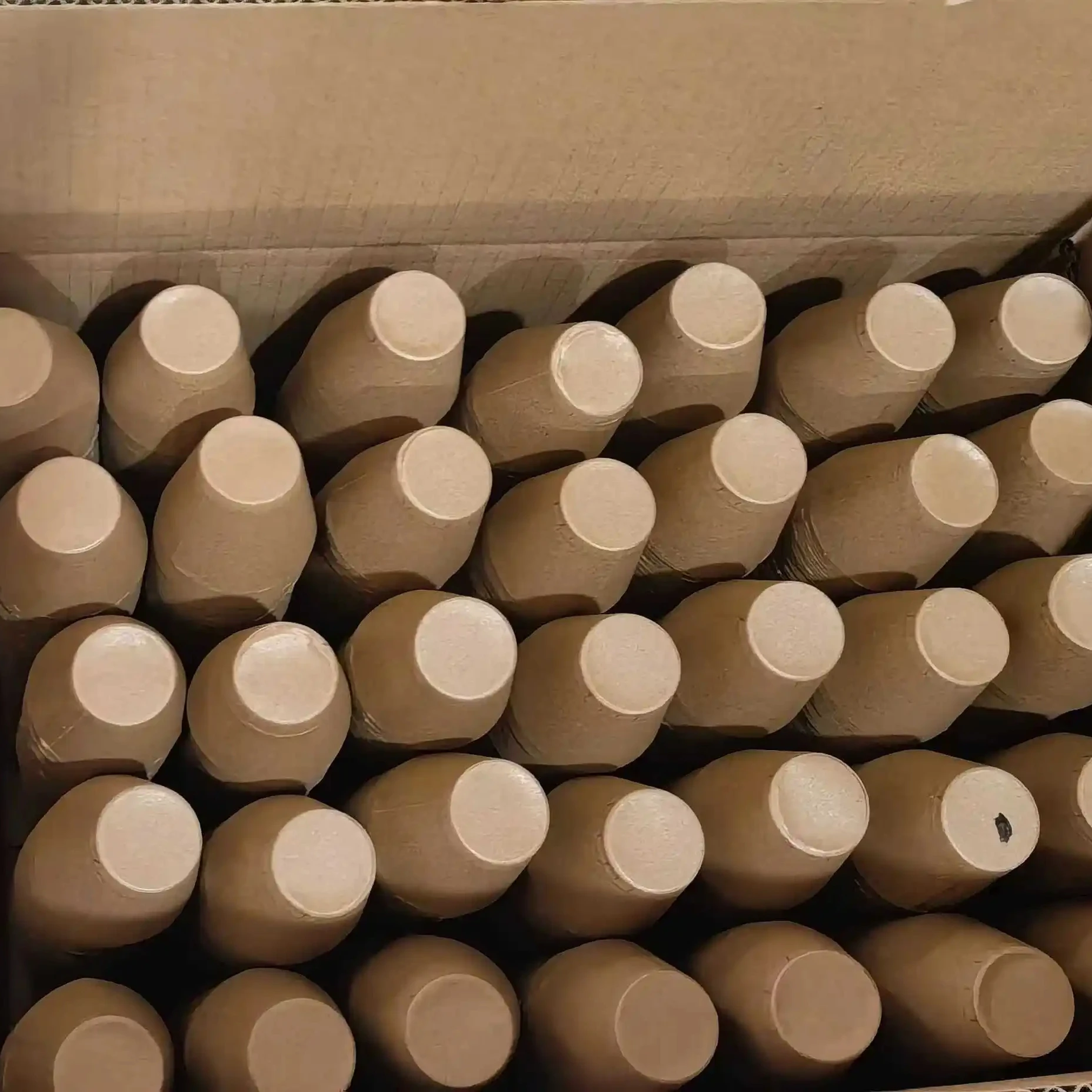 Upgrade Your Fireworks Show With Thickened Paper Shell Hot Sale 2 3 4 8 Inch