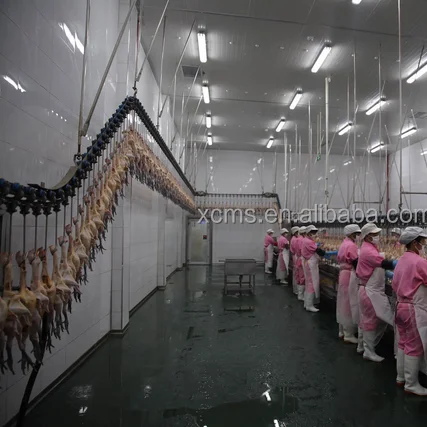 2022 hot sale Chicken Duck Goose Rabbit Pigeon turkey Poultry Processing Plant Slaughtering Equipment