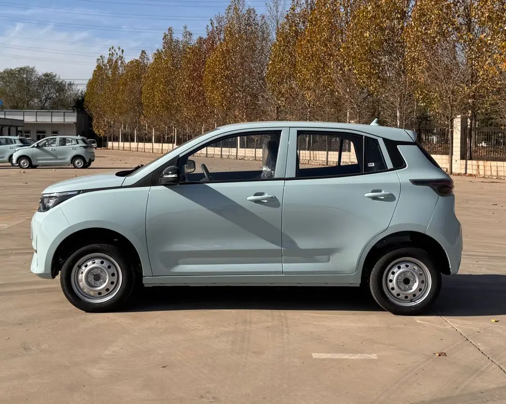 Raysince Right Hand Drive Electric Smart Car for Teenagers