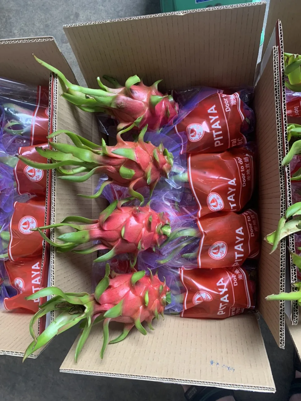 Vietnam Dragon Fruit Export To India Hong Kong Tropical Fresh Fruit 100% Maturity With Common  WHATSAP 0084 989 322 607