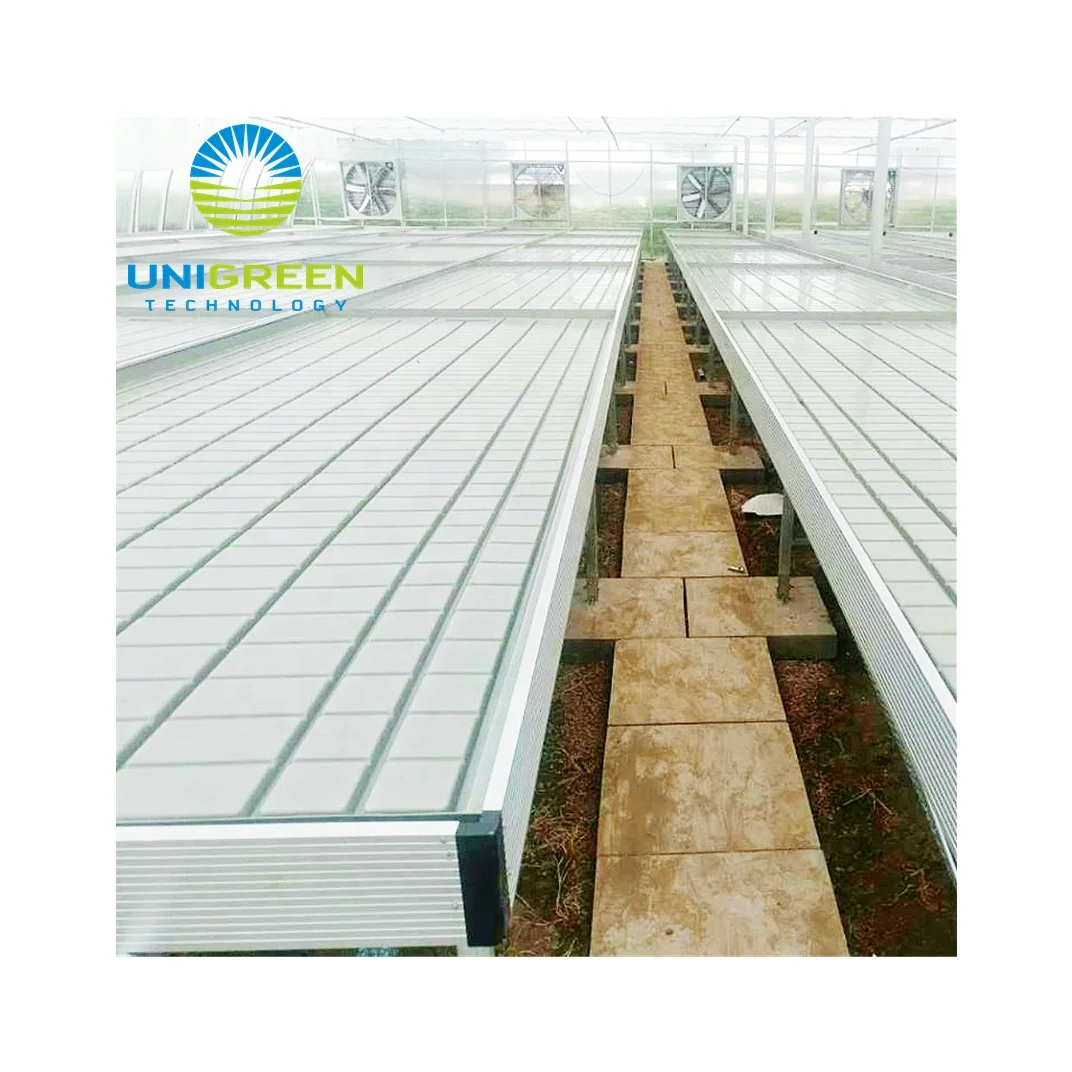 New Customized Agricultural Greenhouse Aluminum Alloy EBB And Movable Flood Rolling Bench With Trays