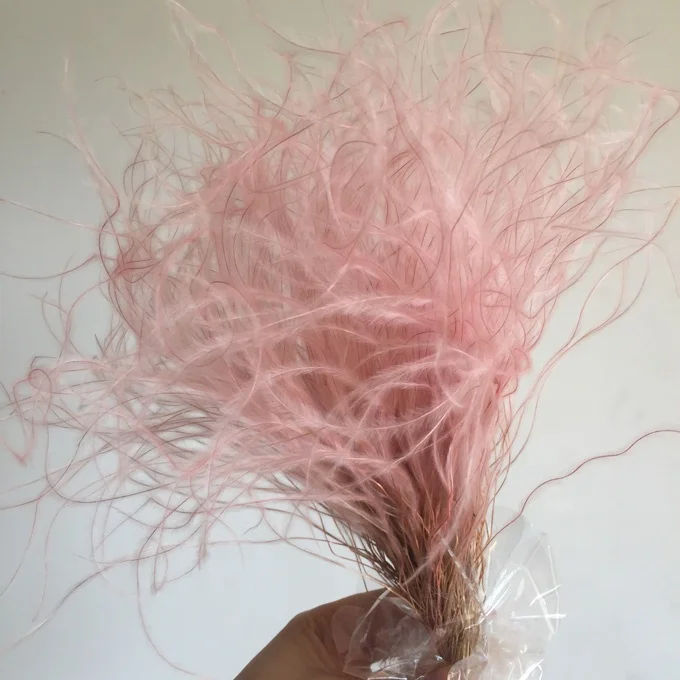 
natural real feather flowers in packs for valentine day 