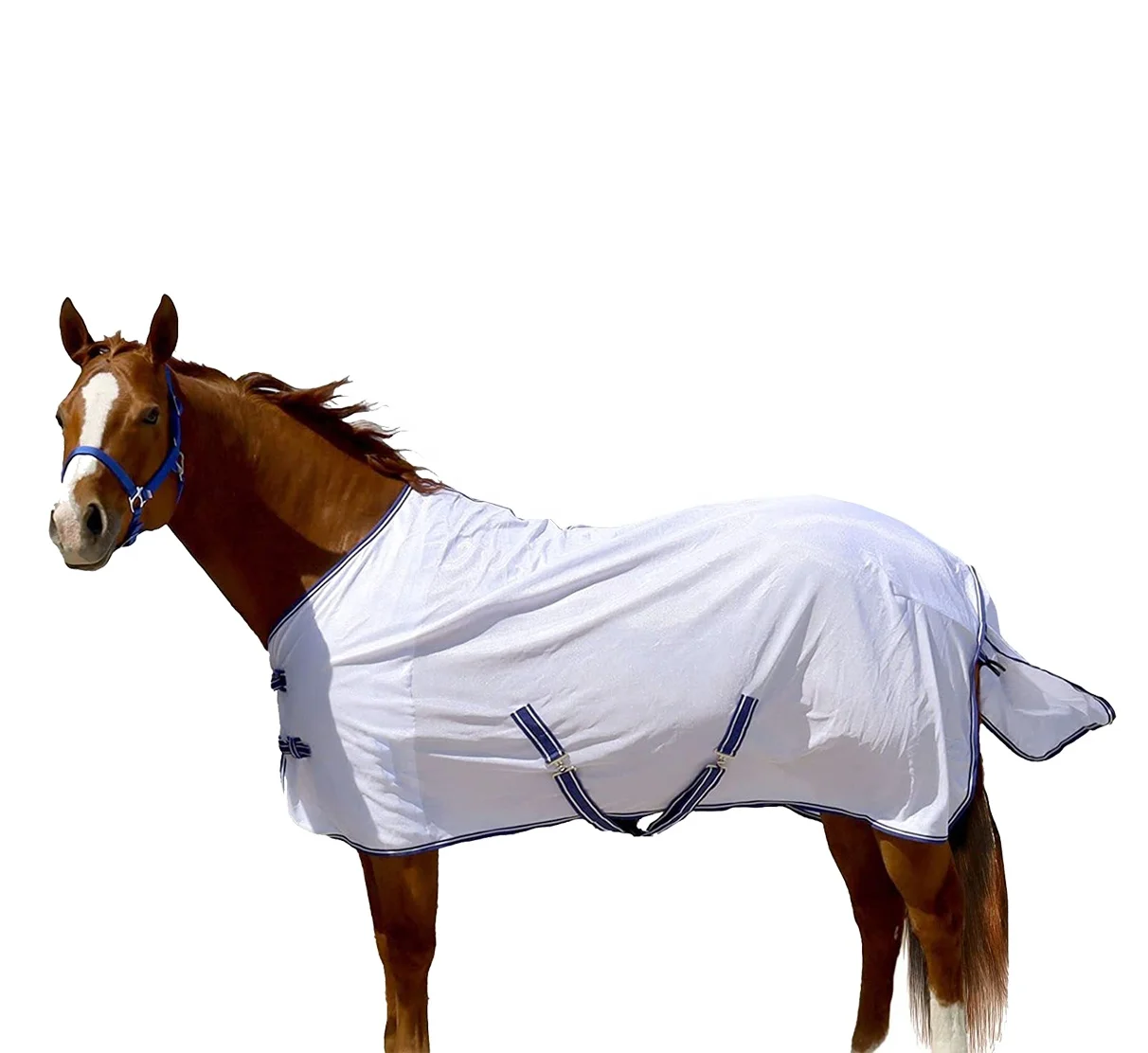 Waterproof and Breathable Horse Protection Equipment Horse Neck Fly Sheet