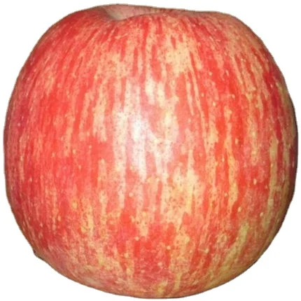 Natural high quality sweet cheap price apple Royal Gala Apples fresh and delicious apple for sale