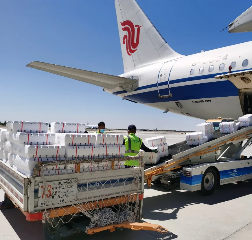 Hong Kong China best shipping from shenzhen to USA door to door ddp shipping agent DDP services including import fees