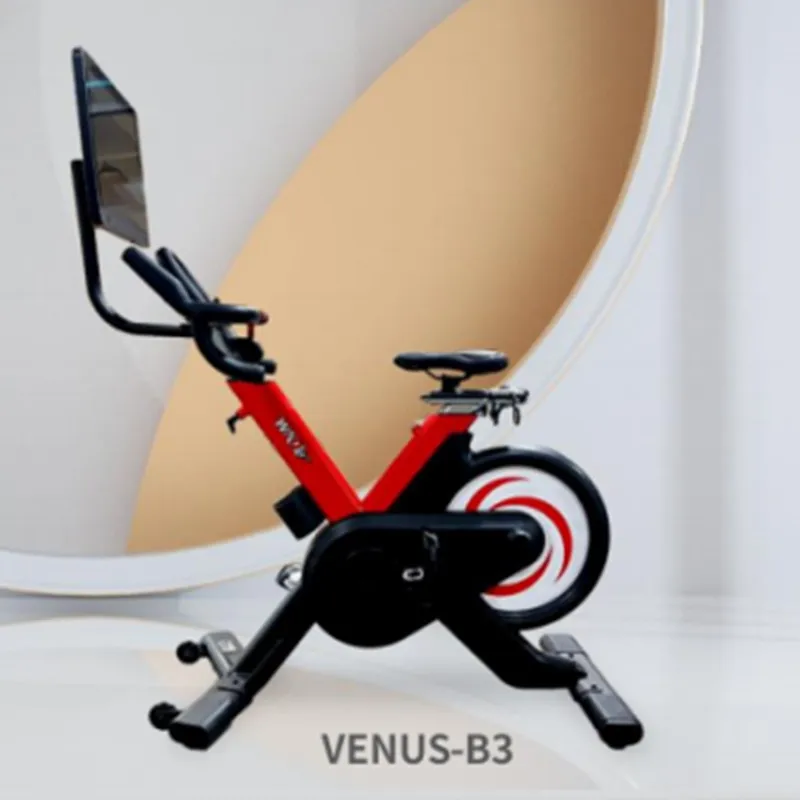 2023 New Style Commercial Indoor Spinning Bike Good Quality Spinning Bikes 10.2kg Chrome