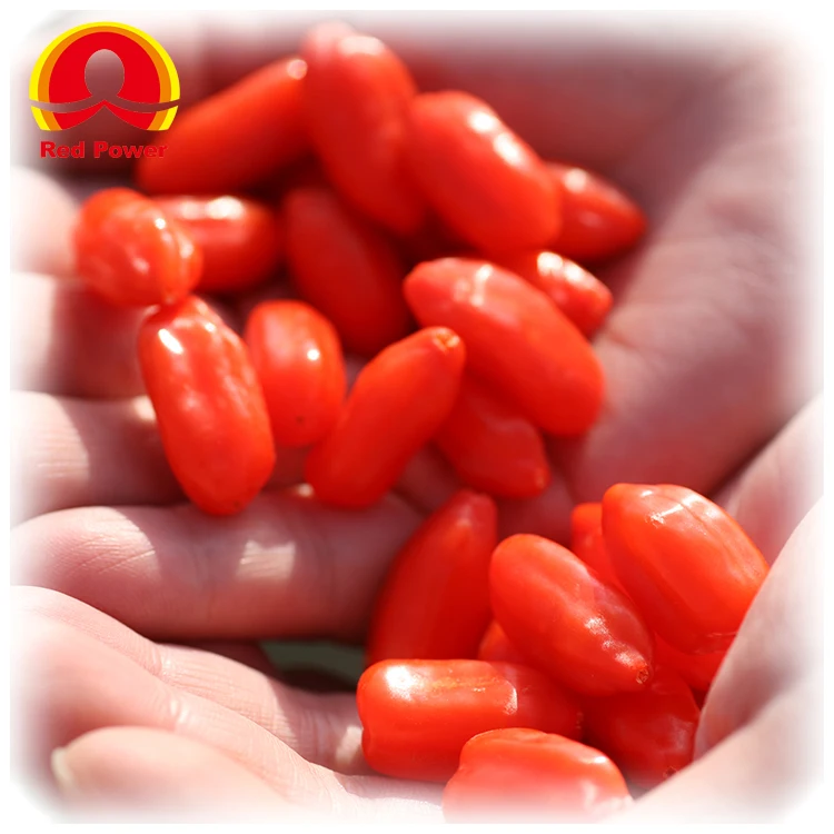 Red Power QIZITO the fruit of chinese wolfberry high quality chinese heigouqi organic wolfberry fruit of chinese wolfberry