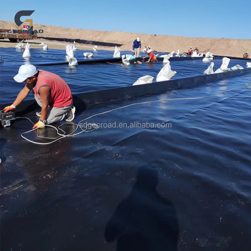 Aquaculture shrimp pond liner 0.5mm 0.75mm 1.0mm 1.5mm Pond Liner Fish Farm HDPE Geomembrane