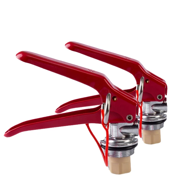 Reliable Brass Copper Alloy Forged Valve Dry Powder Fire Extinguisher Valve