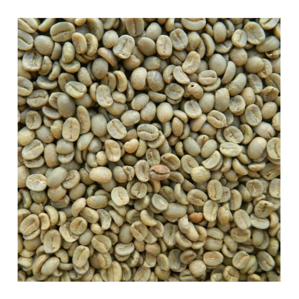 
Bulk Vietnamese High Quality Green Coffee Beans With Competitive Price Arabica Beans For Import Good Quality Raw Coffee Beans 