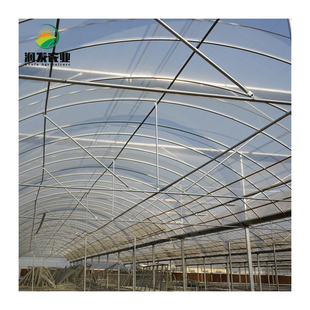 Agricultural Green House Metal Frame Multi-Span Film Greenhouse with Hydroponic and Automatic Irrigation System