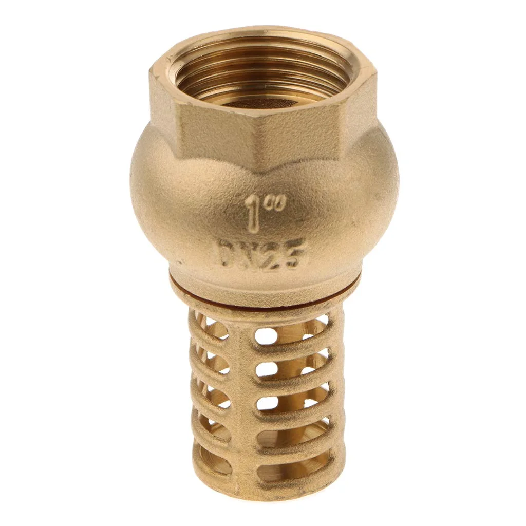TMOK Hydro DN25 1 inch Water Pumb Brass One Way Spring Check Suction Valve Foot Valve with Grid Strainer