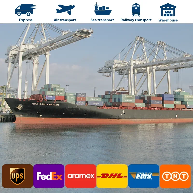 Professional DDP Shipping Agent Service Sea Freight China to USA Seattle Freight Forwarder