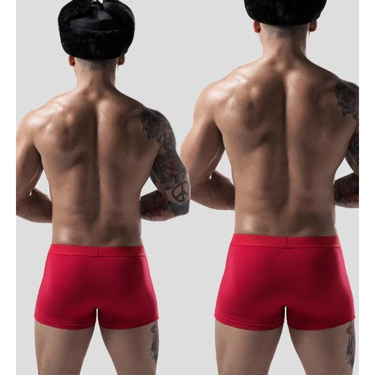Multi Colors Fashion Mens Solid Sexy Underpants Men Basic Modal Briefs Comfortable Men Underwear