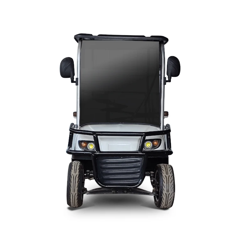 Golf Cart Electric Scooter Golf Cart 2 Seater With Cargo Box