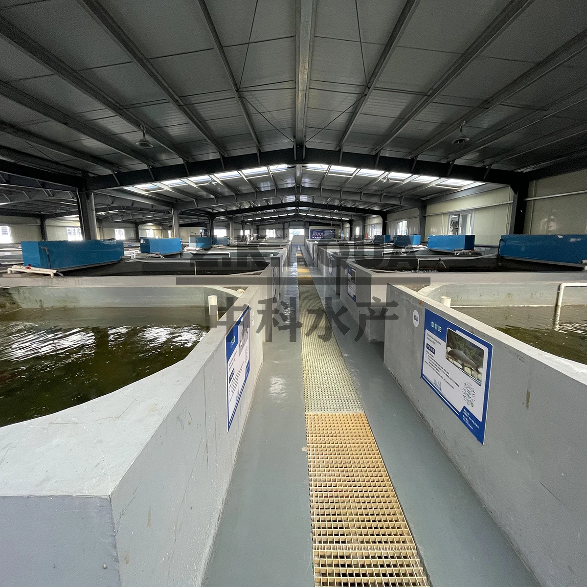 ras system aquaculture equipment customized ras fish farming system