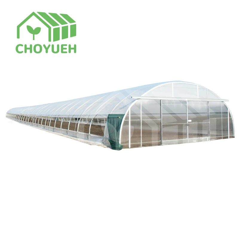 China supplier agricultural greenhouses plastic film tunnel tomato vegetable seeds nursery single-span greenhouse