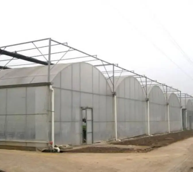 Intelligent multispan plastic film greenhouse used hydroponic system growing vegetables for sale