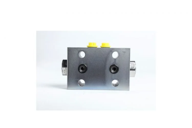 Low Pressure Two-way Hydraulic Lock cylinder pressure holding safety valve crane plate with Cheap Price for sale