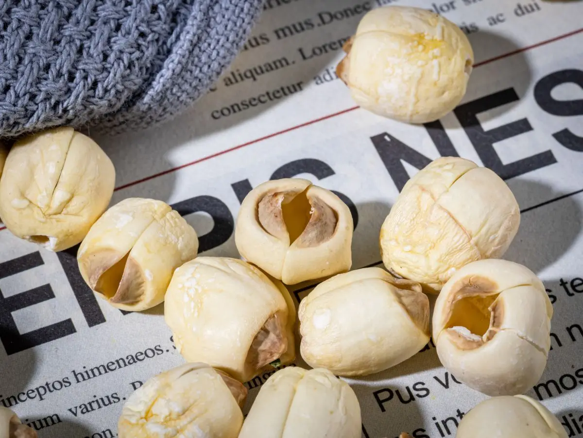 Factory Wholesales Dried White Lotus Seeds Lianzi of Traditional Chinese Medicine Chinese Dry Lotus Nut