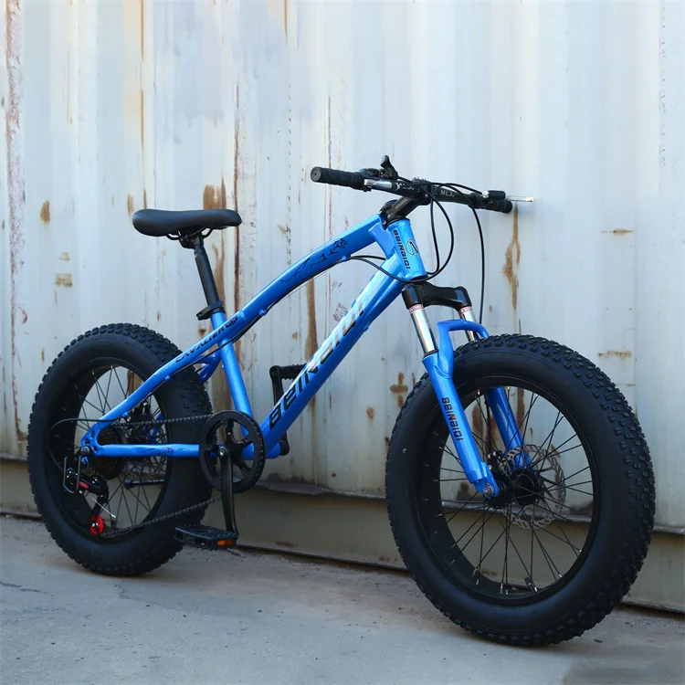 Customized Beach cruiser 26' 4.0 new design mountain type fat bike /fat tire snow mountain bike