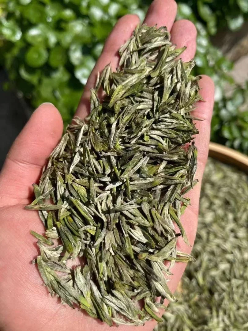 Чайный порошок органический церемониальный маття зеленая сетка OEM листья Кошерный товар Упаковочная упаковка для пищевых продуктов здоровое чистое выращенное