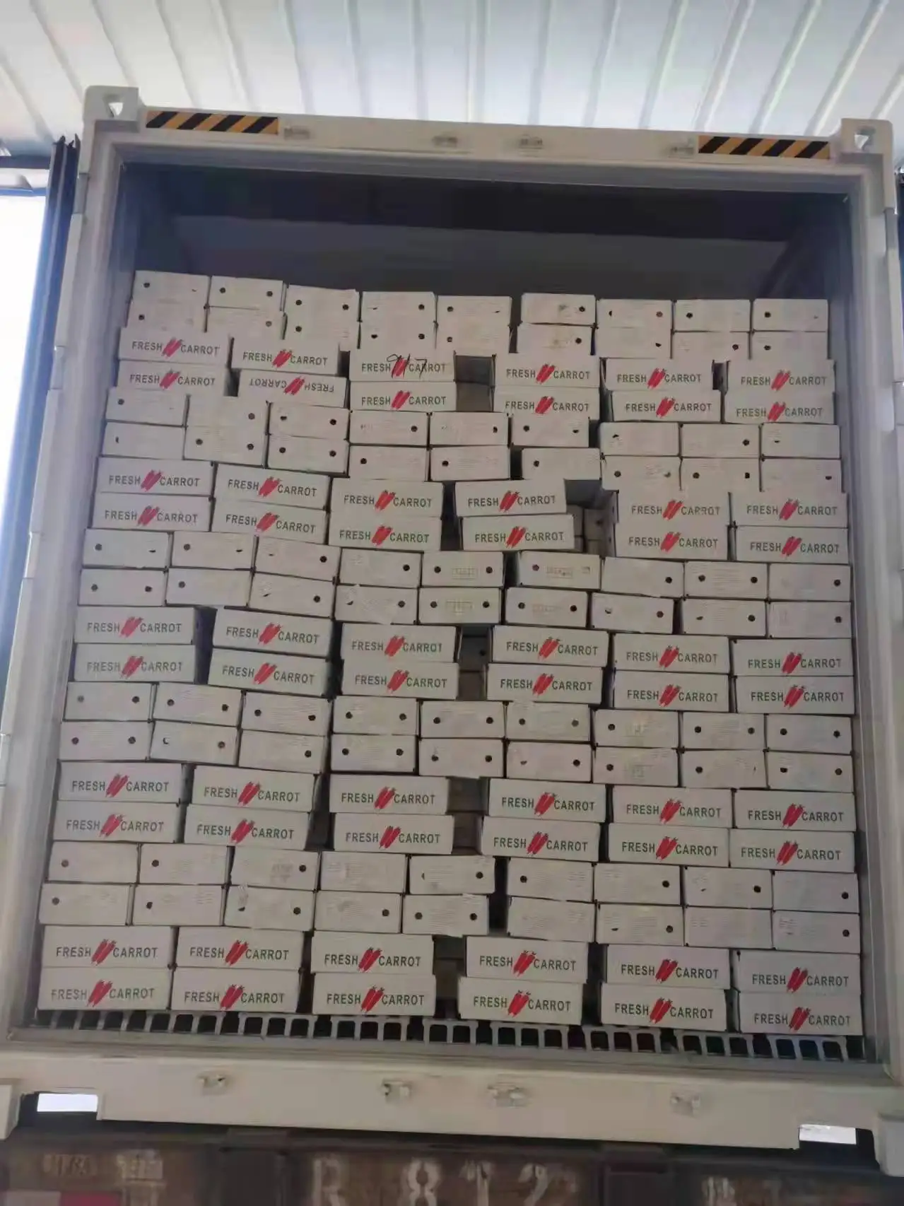 Carrot Purple Radish