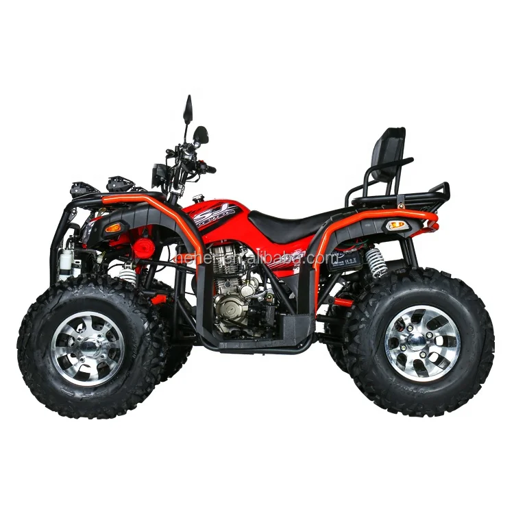 Adult off-road buggy 250cc utility vehicle