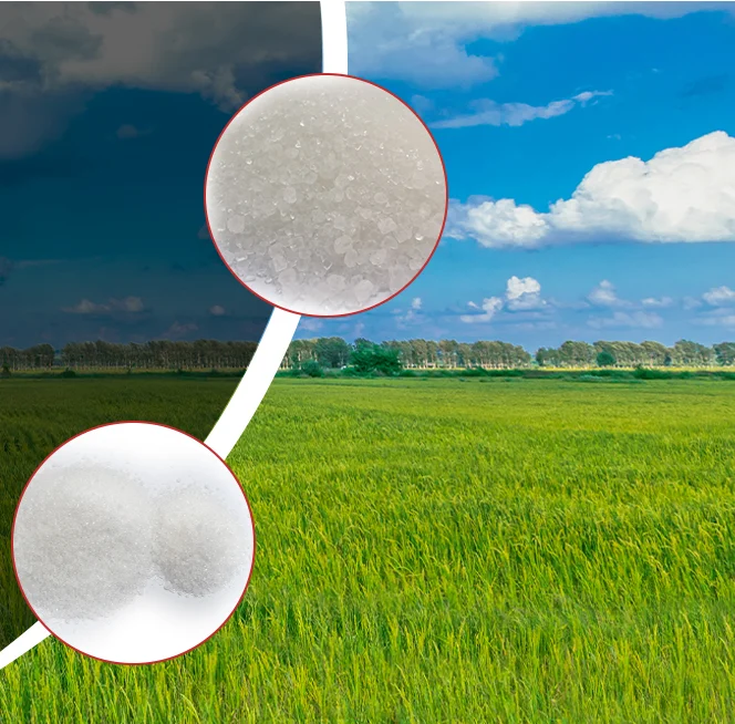 White Granule Nitrater Fertilizer Ammonium Sulphate used in agriculture